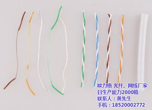 欧力格光纤网线 高品质网络线条迈向全球市场